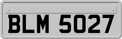 BLM5027
