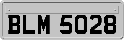 BLM5028