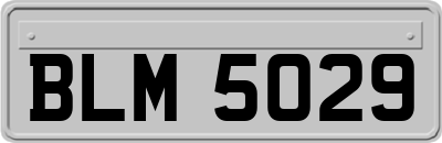 BLM5029
