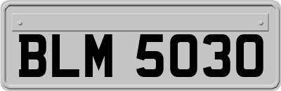 BLM5030