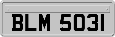 BLM5031