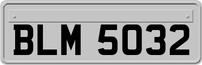 BLM5032