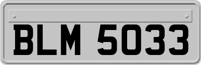 BLM5033