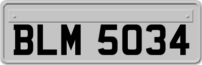 BLM5034