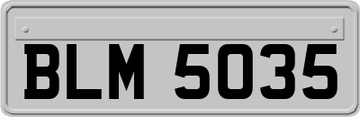 BLM5035