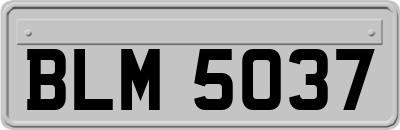 BLM5037