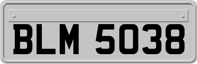 BLM5038
