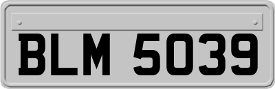 BLM5039