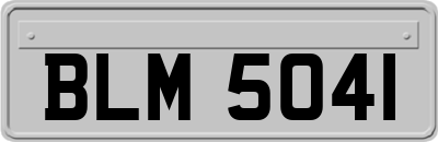 BLM5041
