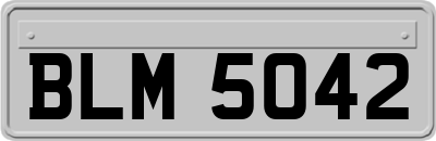 BLM5042