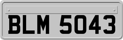 BLM5043