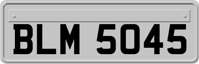 BLM5045