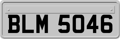 BLM5046
