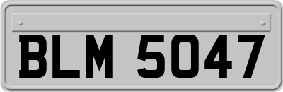 BLM5047