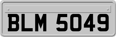 BLM5049