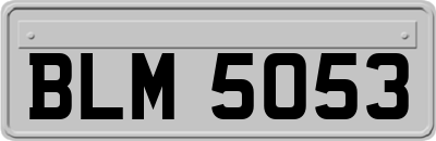 BLM5053