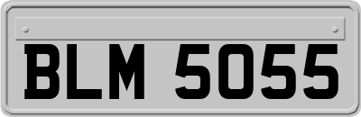 BLM5055