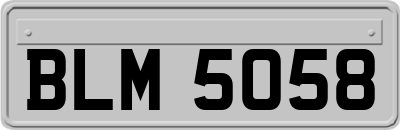 BLM5058