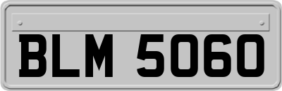 BLM5060