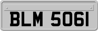 BLM5061