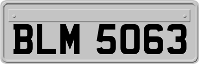BLM5063