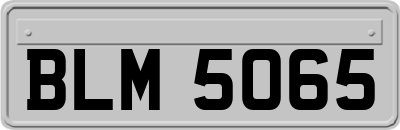BLM5065
