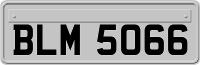 BLM5066