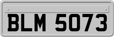 BLM5073
