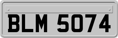 BLM5074