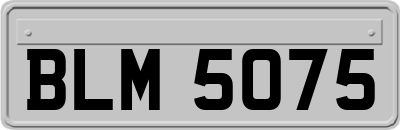 BLM5075
