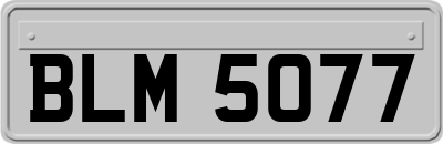 BLM5077