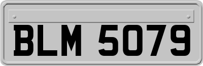 BLM5079
