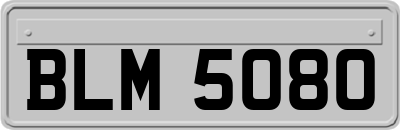 BLM5080