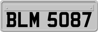 BLM5087