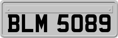 BLM5089