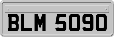 BLM5090