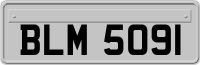 BLM5091