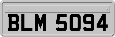 BLM5094