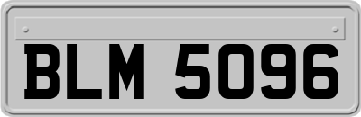BLM5096