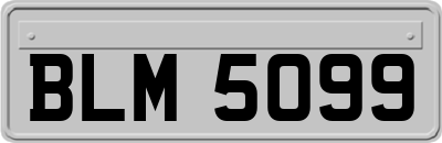BLM5099