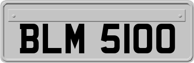 BLM5100