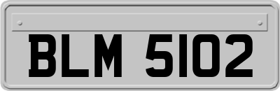 BLM5102