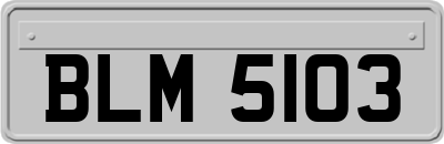 BLM5103