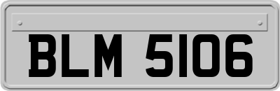 BLM5106