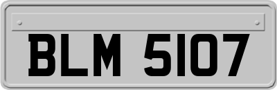 BLM5107