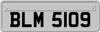 BLM5109
