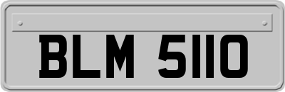 BLM5110
