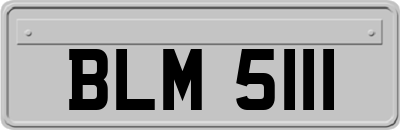 BLM5111