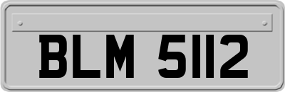 BLM5112