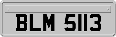 BLM5113